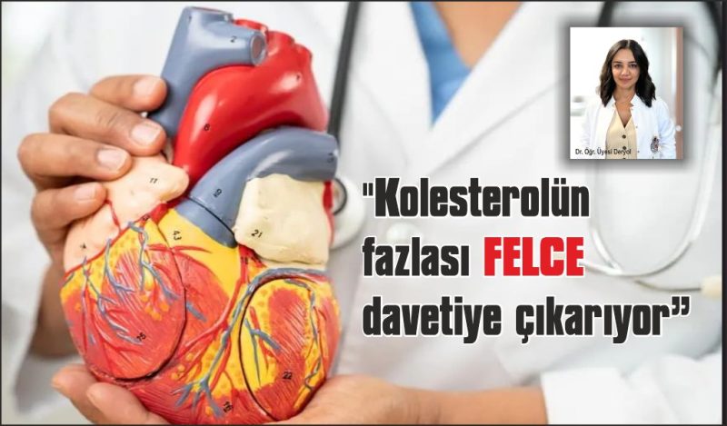 “Kolesterolün fazlası felce davetiye çıkarıyor”
