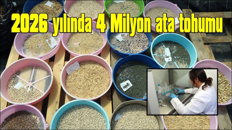 Muğla Büyükşehir 2026 yılında 4 Milyon ata tohumu dağıtımı hedefliyor