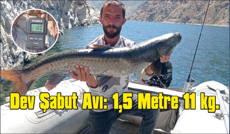 Amatör balıkçı, 11 kiloluk dev şabut yakaladı