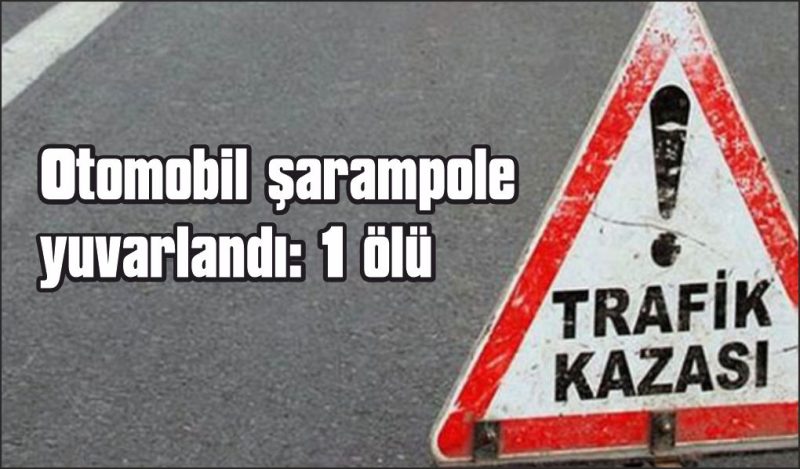 Kontrolden çıkan otomobil şarampole yuvarlandı: 1 ölü