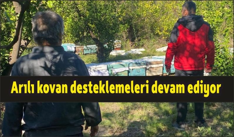 Arılı kovan desteklemeleri devam ediyor