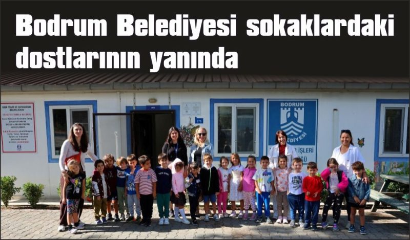 Bodrum Belediyesi sokaklardaki dostlarının yanında
