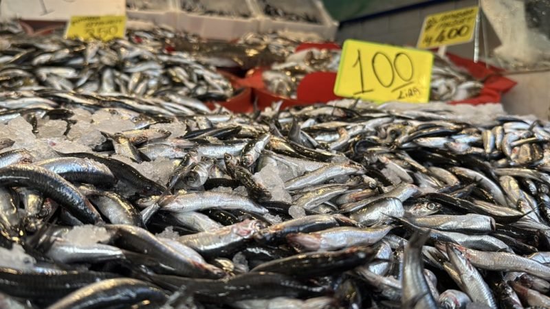 Hamsi bolluğu: Kilosu 100 TL’ye kadar düştü