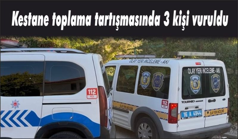 Kestane kavgası kana bulandı: 3 kişi vuruldu