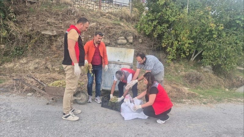  Muğla’da hasat öncesi denetimlerde yasaklı maddeye geçit yok