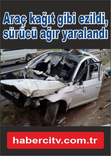 Köpeğe çarpmamak için orta refüje girdi