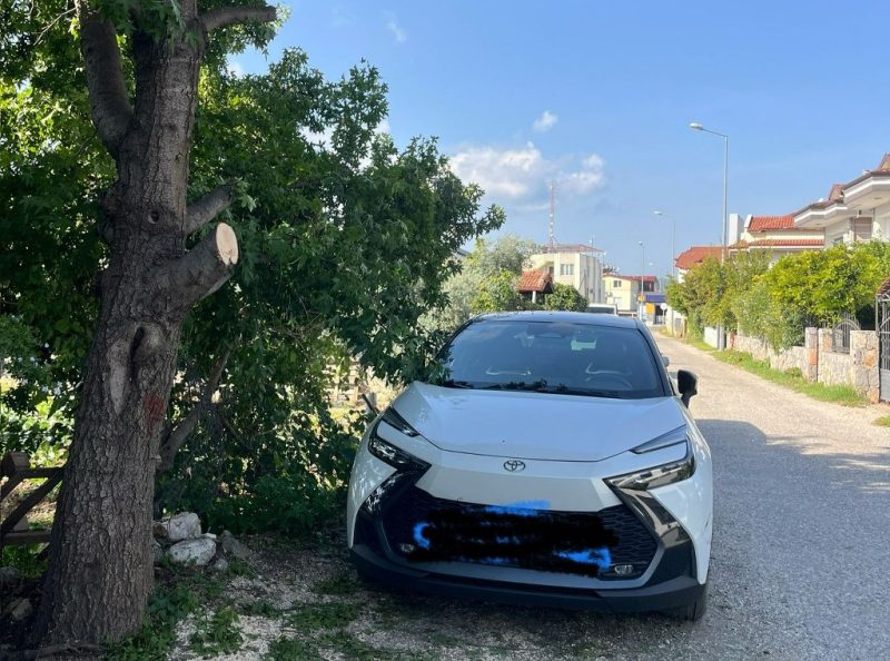 Sığla ağacının dallarının gelişigüzel kesilmesine tepki