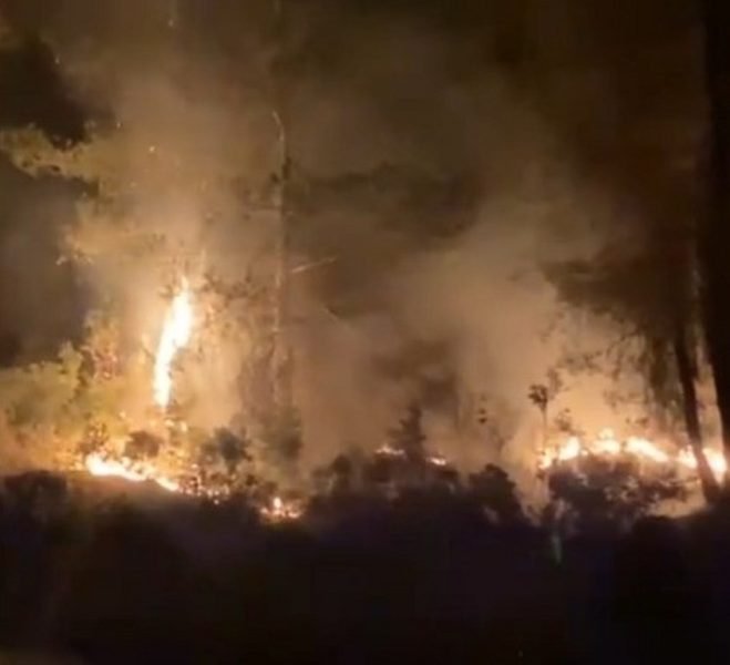 Orman yangını kısa sürede kontrol altına alındı