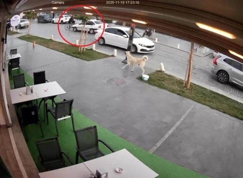 Yolun karşısına geçmek isteyen bisikletliye otomobil çarptı: 1 yaralı