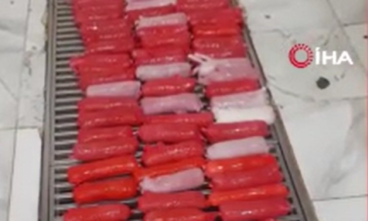 54,6 kg metamfetamini küçükbaş hayvanların karın boşluklarına yerleştirmişler