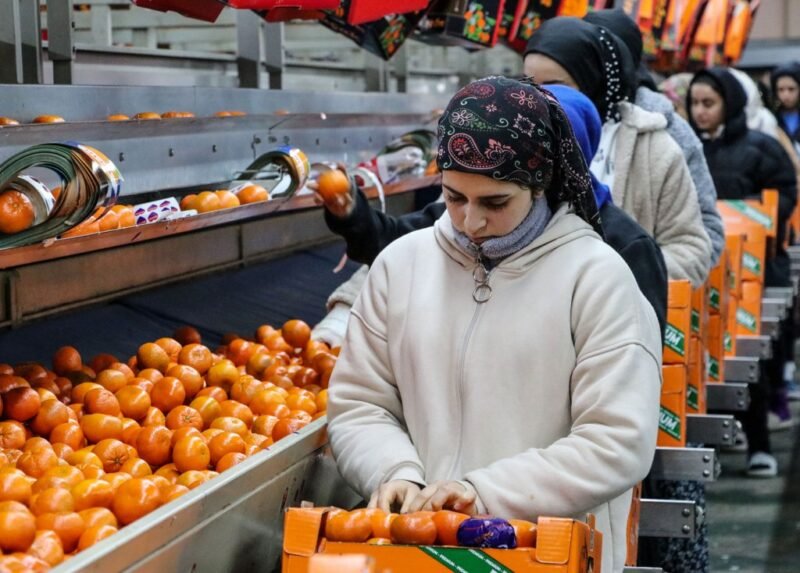 2025’te Türkiye’ye 1 milyar 477 milyon 58 bin dolar kazandırdı