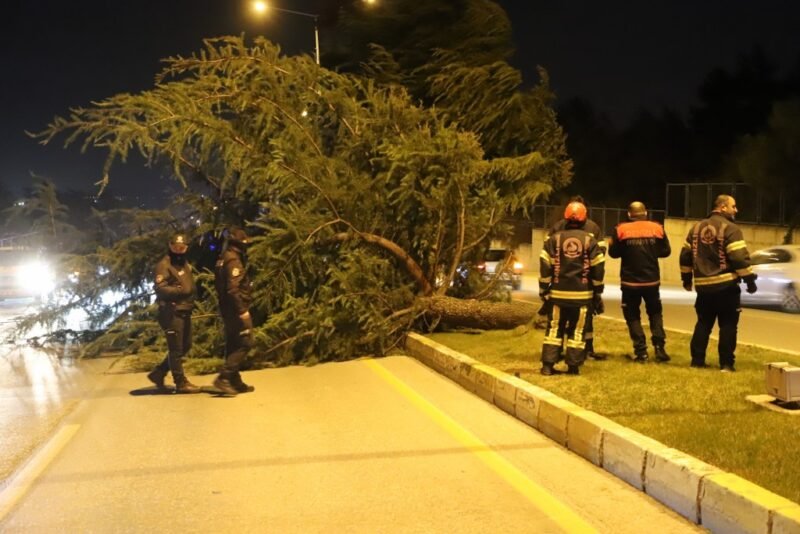 Denizli’de kuvvetli rüzgar etkili oldu