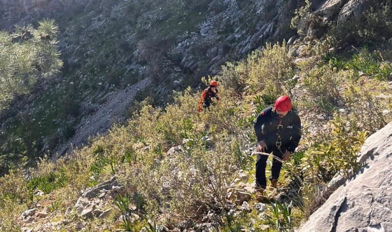 AFAD’dan keçi kurtarma operasyonu