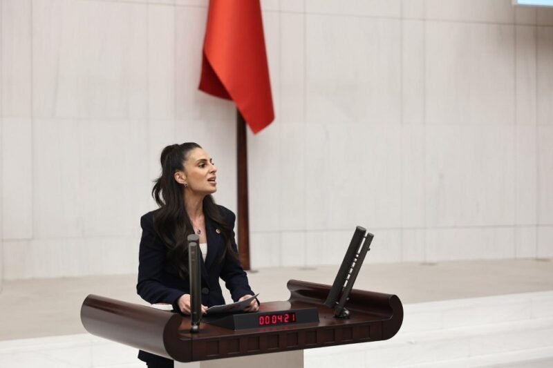 Milletvekili Özcan; “Selimiye’de ekolojik yıkım riski”