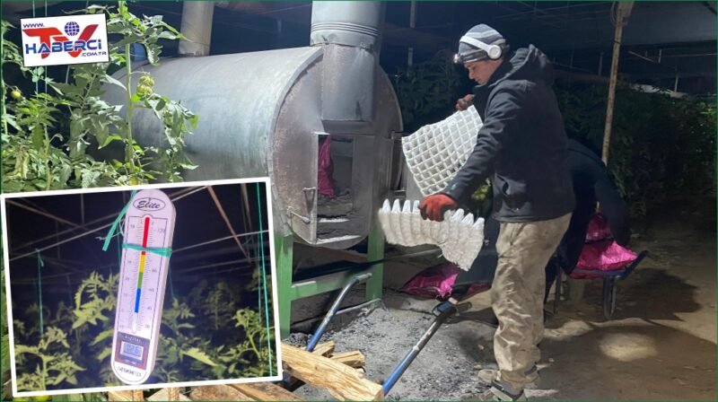 Antalya’da üreticiler seralarda zirai don nöbeti tutuyor