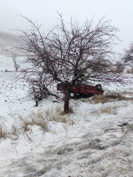 Ağaca çarpan otomobil takla attı: 4 yaralı