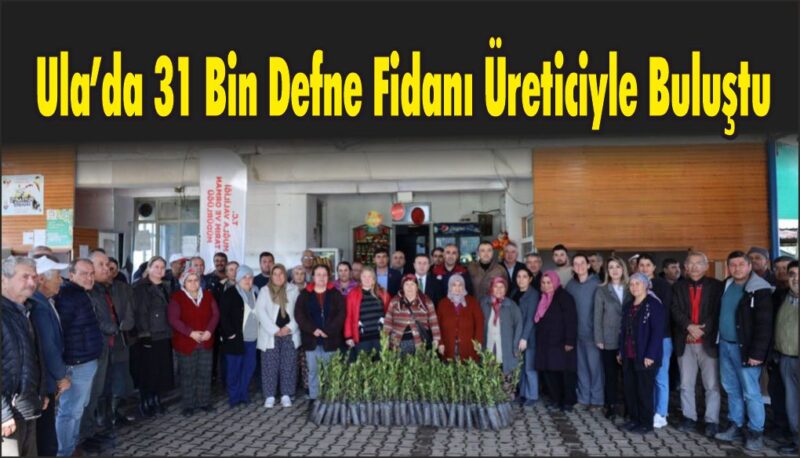 Devlet Destekli Projeyle Ula’ya 31 Bin Defne