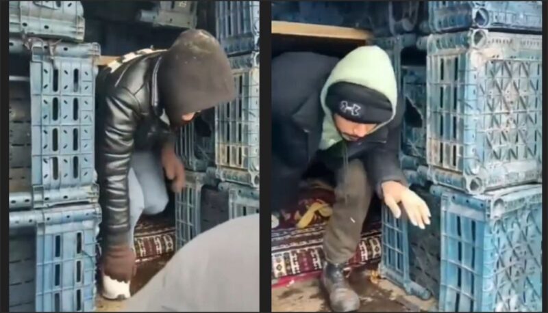 Kamyonun kasasından 14 düzensiz göçmen çıktı