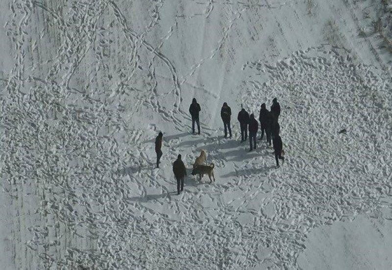 Köpek dövüşü yapan şahıslar, jandarmanın drone kamerasına yakalandı