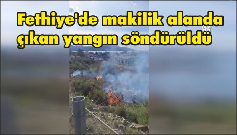 Fethiye’de makilik alanda çıkan yangın söndürüldü