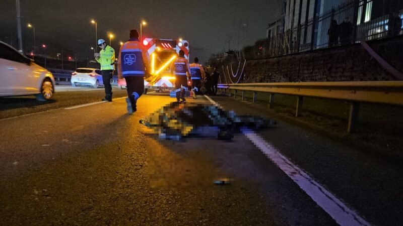 Bariyerlere çarpan motosikletli feci şekilde can verdi