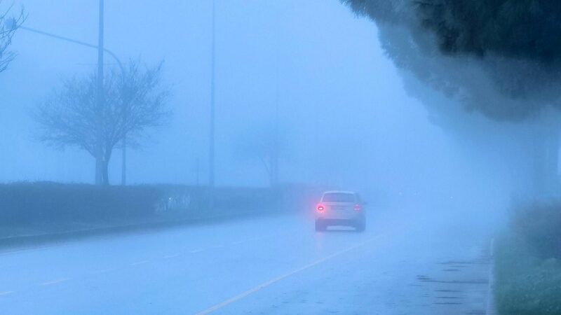 Menteşe yoğun sis etkili oldu