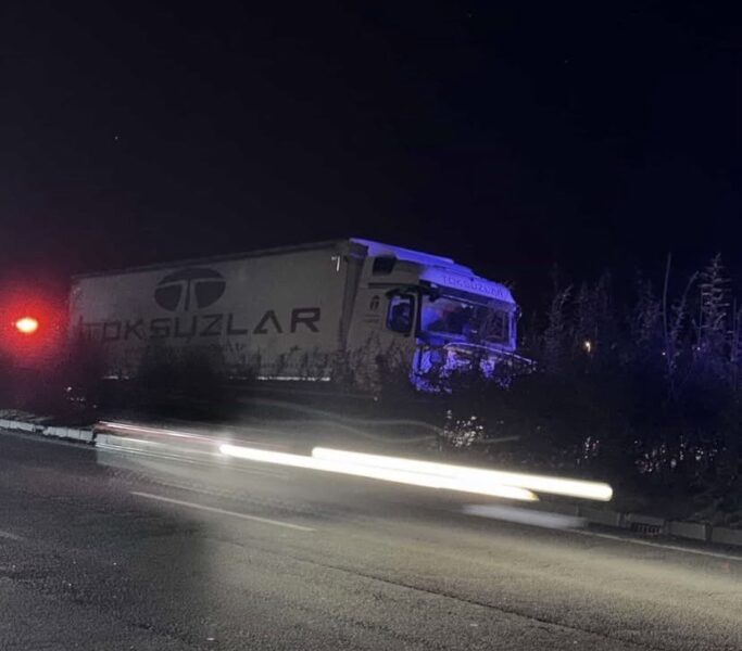Tır aydınlatma direğine çarptı, şoför hayatını kaybetti