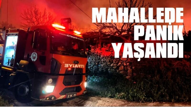 Antalya’da evleri tehdit eden orman yangını kontrol altına alındı