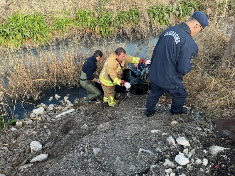 Kayıp olarak aranan yaşlı adamın cesedi bulundu