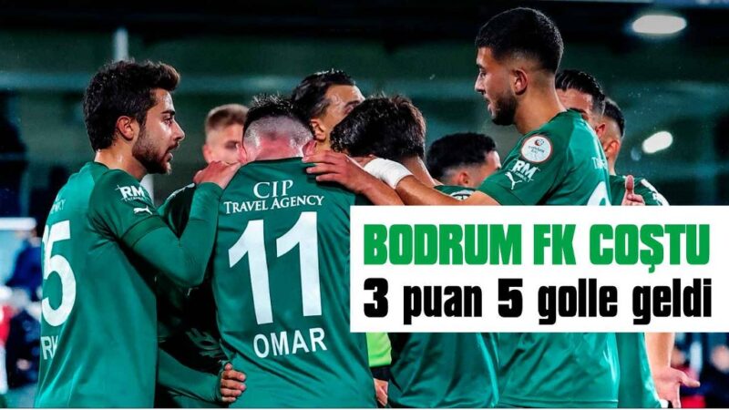Bodrum FK deplasmanda Adana Demirspor’a gol yağdırdı