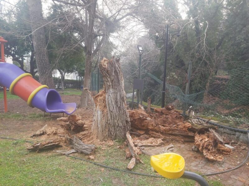 Ağaç devrildi, duvar çöktü: 2 yaralı