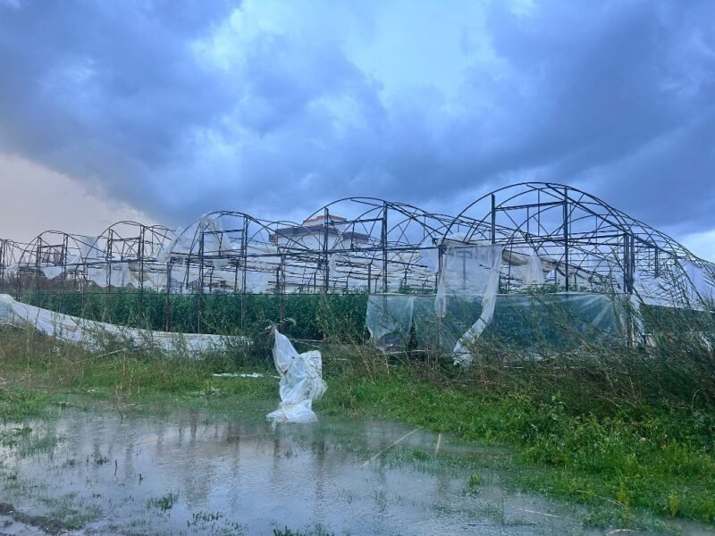 Kuvvetli sağanak ve hortum, seralara yine zarar verdi