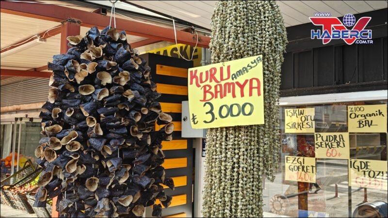 Ramazan’ın gözdesi bamya tezgahlarda