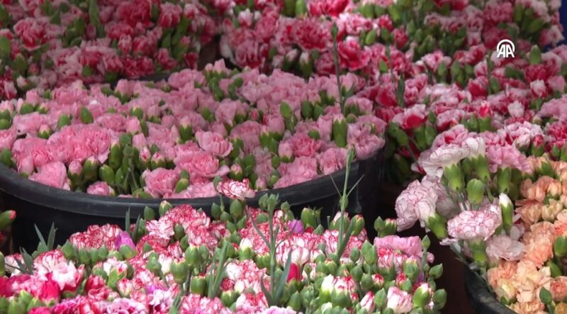 Çiçekçilerde Sevgililer Günü yoğunluğu başladı