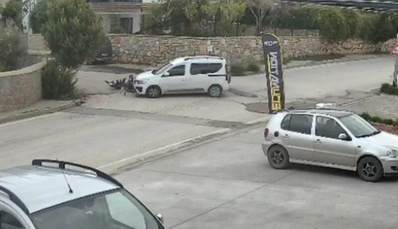 Bodrum’da kazaya karışan sürücünün ehliyetine el konuldu