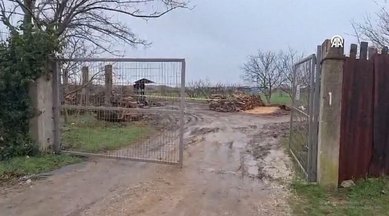 Odun keserken hızarın üzerine düşen işçi ağır yaralandı