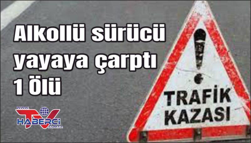 Alkollü sürücünün çarptığı yaya hayatını kaybetti