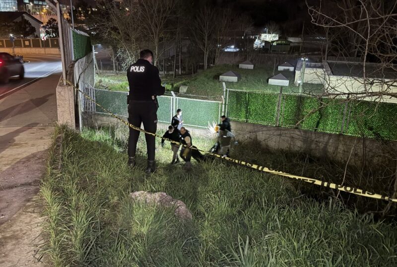 Bir kişi yol kenarında ölü bulundu